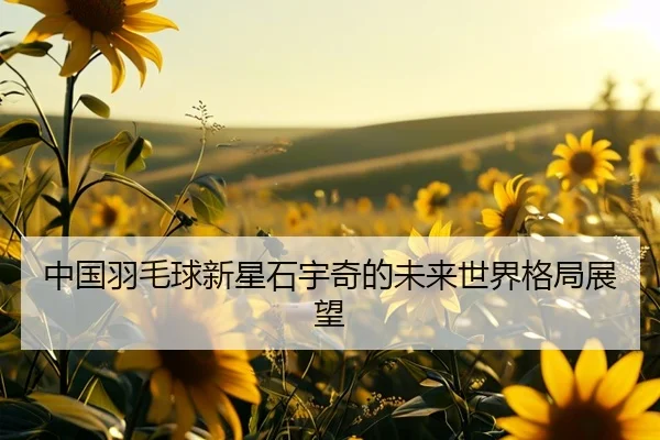 中国羽毛球新星石宇奇的未来世界格局展望